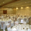 Wow Weddings Chair Covers 8 image